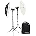 Produktbild GODOX AD300Pro Witstro All-in-One Outdoor-Blitzgerät mit 2 Lichtern, D187051