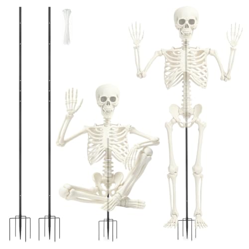 Storing a Giant Skeleton Without Damage: The Step-by-Step System 4 Skeleton Stand for Halloween Adjustable Metal Skeleton Display Stand(2Set)