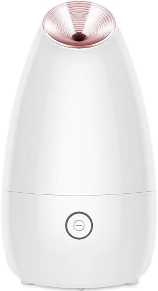 vaporizzatore personale per il viso