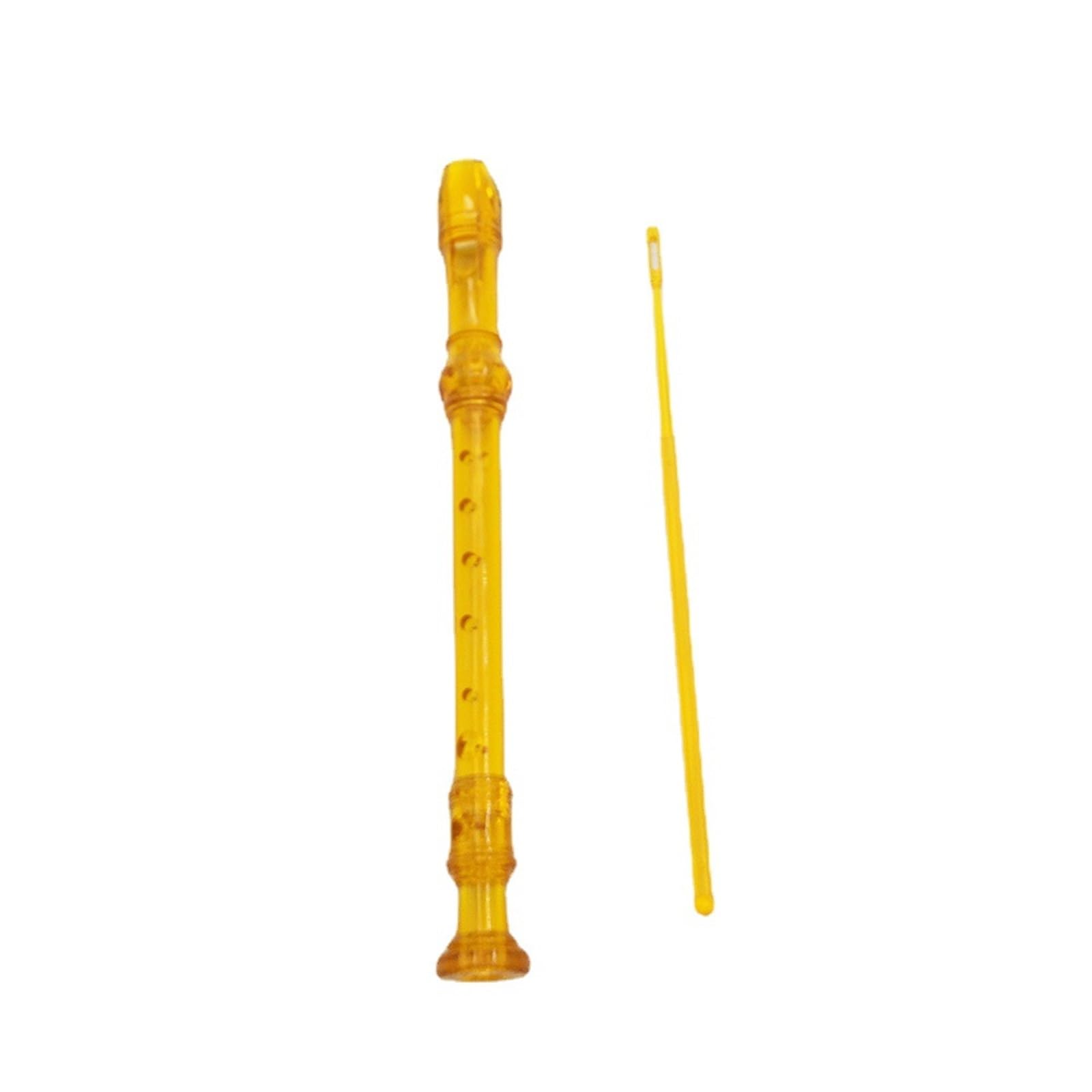 Flûte À Bec Instruments De Musique Flûte À Bec Soprano 8 Trous Pour Débutants En Plastique ABS