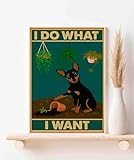 Photo Gallery poster divertente con scritta "i do what i want", decorazione per la stanza, regalo per gli amanti dei cani. dimensioni: 30 x 42 cm, carta lucida (cane pinscher in miniatura) Photo Gallery poster divertente con scritta "i do what i want", decorazione per la stanza, regalo per gli amanti dei cani. dimensioni: 30 x 42 cm, carta lucida (cane pinscher in miniatura)
