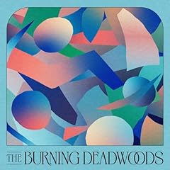 The Rain feat. Kenta Dedachi / The Burning Deadwoods