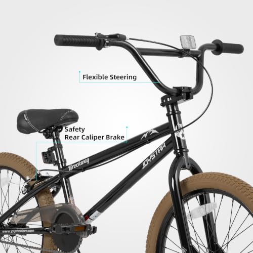 JOYSTAR 20