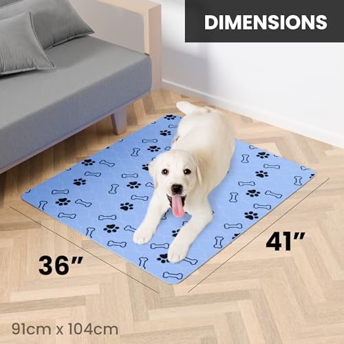 Image of Buddy's Best Washable Pee Pads for Dogs - Medium (36 inchx41 inch) - Ultra-Absorbent, Non-Slip, Ideal for Larger Areas, Training, Incontinence - (2-Pack) + Bonus Grooming Glove