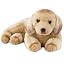 Baker Golden Retriever 13