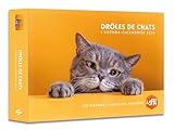  Agenda - Calendrier Drôles de chats 2026