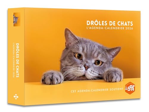Agenda - Calendrier Drôles de chats 2026