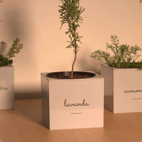 Kit Horta Vertical Vaso + Sementes e Substrato Para Chá Jardineiras Salmão (Lavanda, Branco, 1)