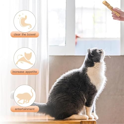 Image of 10PCS Natural Silvervine Sticks | Matatabi Catnip Dental Sticks Cat | Indoor Chew Toys | Wooden Engaging Stick for Teeth Cleaning | Edible Kitty Toys | Teeth Molar Tool | Cat Treat Toy