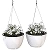 Mayne Caprio Self Watering Hanging Planter Set, 2 Pack - Sturdy, Lightweight Planters for Indoor and Outdoor Use, with Water Level Indicator and Drainage System, Basket for Flowers