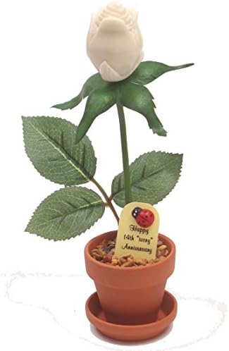 JustPaperRoses 14th Year Wedding Anniversary 7 inch Potted Artificial Ivory Desk Rose Flower