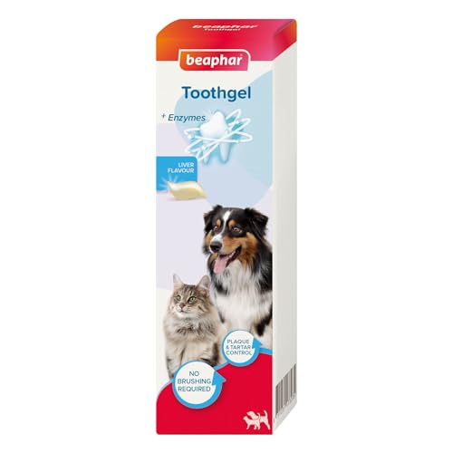 Beaphar Tooth Gel in Liver Flavour for Dog & Cat, 100 Gram