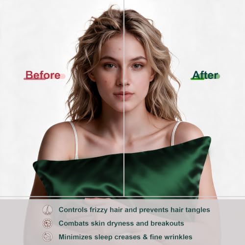 Image of LYSHIN Silk Pillow Cases 2 Pack King Size with Zipper, Olive Green | 19 Momme Mulberry Silk Pillowcase for Skin and Hair, Anti-Acne, Hypoallergenic, Cooling, Beauty Sleep, Gifts for Women
