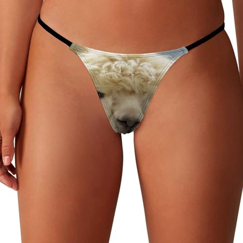 FJQWKLF String drôle en alpaga pour Femme T-Back G String Hipster Sexy Bikini No Show Underwear Panties