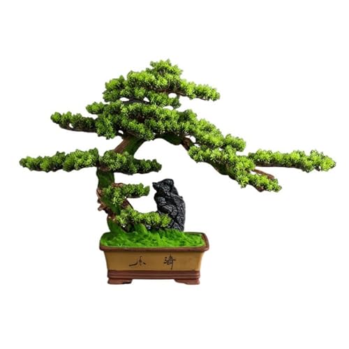 Bonsaï arbre plante d'intérieur pour un salon zen et verdoyant