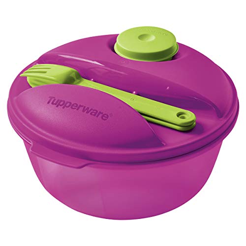 Los 5 Mejores Modelos De Loncheras Tupperware