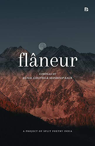 Flaneur (English Edition