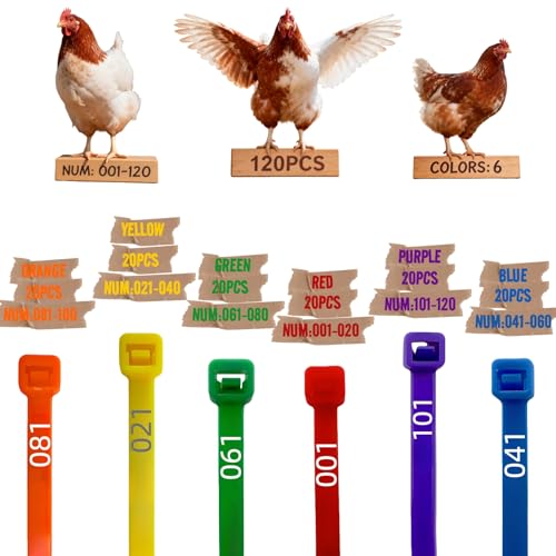 ARMLCL Vibrant 120Pcs Chicken Leg Bands-Easily Identify Your Poultry with Colorful Leg Bands-Durable and Laser Engraved for Long-Lasting Visibility-Perfect for Chicken Duck and Goose Owners