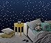 Lexibook - Batman LED-Nachtlicht für Kinder, Farbwechsel, Weiches Licht, Batterien, NLJ01BAT