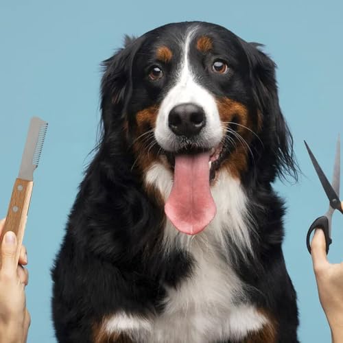 Image of Pet Comb, Dog and Cat Grooming Tool, Hair Cutting Scissors Alternative for Daily Care, Ideal for Shedding Control and Mat Removal