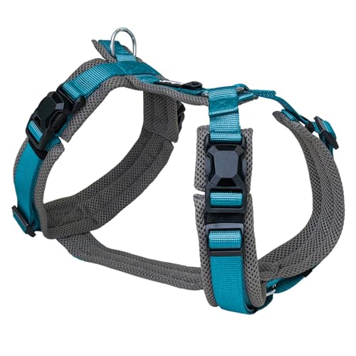 Petlando Hundegeschirr Magnetech Y-Comfort – Innovative Magnetschnalle, atmungsaktiv, mit Mesh gepolstert, stufenlos verstellbar – anthrazit/Petrol S (Halsumfang 34-62cm, Brustumfang 44-60cm)