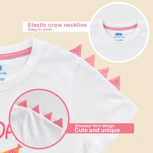 4th Birthday Girl T-Shirt Dinosaur Themed B-Day Party Tee Gift for Toddler4