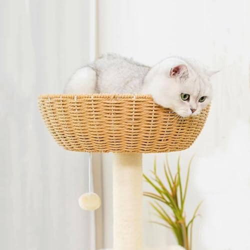 Arbre à chat solide contre le manque d'espace, perchoir de fenêtre 9 kg - 3