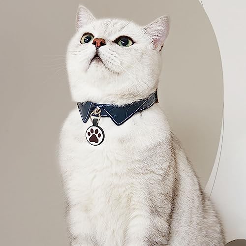 Médaille à code QR pour chat avec alerte de localisation et contacts multiples