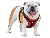 Bulldog Grade No-Pull Harness for English & French Bulldogs - Adjustable Wide-Chest Fit, Reflective Vest with Control Handle (Bulldog Red, Large)