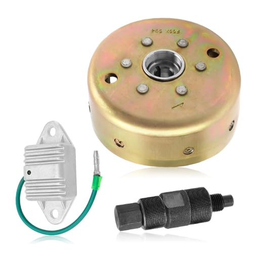 Rotor Volant Magnétique Stator Yamaha Blaster 200 kit de rechange premium avec extracteur