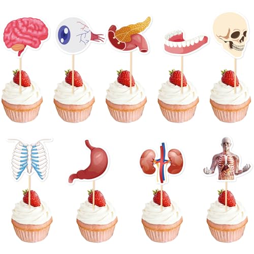 36 Pcs Anatomy Theme Cupcake Toppers, Mini Human Body Organ