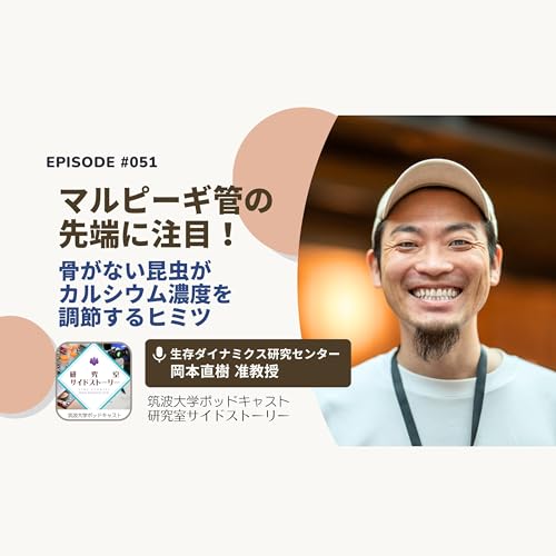 #051 マルピーギ管の先端に注目！骨がない昆虫がカルシウム濃度を調節するヒミツ／生存ダイナミクス研究センター　岡本直樹 准教授