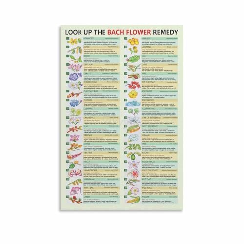 Healing with Flowers Chart Flower Essences and Remedies Guide Emotional Balance Reference Holistic Health Wall Art(Unframed,08x1