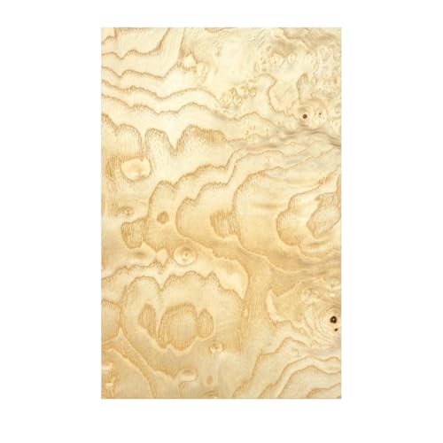 10 FOGLI DI IMPIALLACCIATURA DI LEGNO NATURALE PER L'INTARSIO DI FRASSINO 280 mm X 180 mm X 0,6 mm