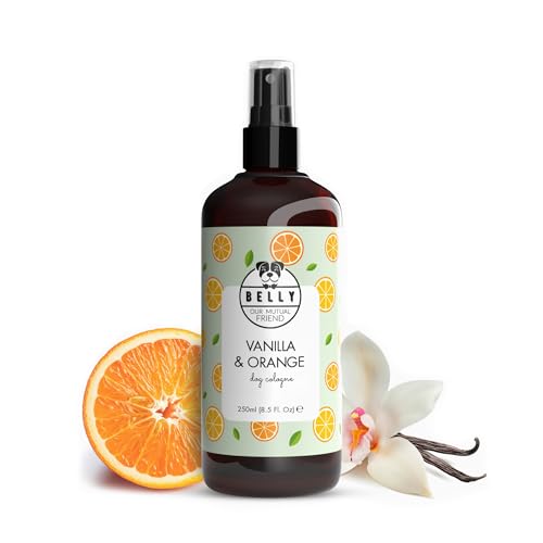 Belly Natural Dog Perfume & Deodorant Spray, Long-Lasting Dog Smell Eliminator - Freshens Coat, Neutralizes Odors, Vegan Formula for Daily Use, 250ml (Vanilla & Orange)