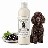 CS Bionature Natürliches Shampoo für Hunde mit empfindlicher Haut für häufiges Waschen, mit Johannisbeeren, Pfefferminze und Weizenproteinen, weich und glänzend