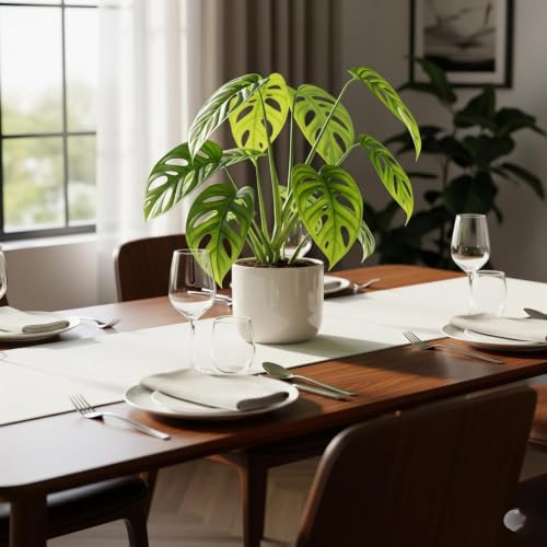 Image of Original Monstera Deliciosa Live Plant with Grow Bag & Pot | Air Purifying Tropical Indoor Houseplant | Large Leaf Evergreen Foliage Plant for Home Office Living Room Indoor Garden Decor | Pack of 1
