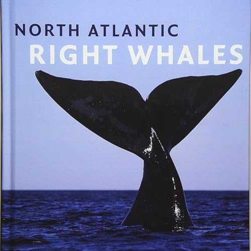 North Atlantic Right Whales: From Hunted Leviathan to Conservation Icon