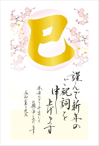 年賀状仕舞い　巳年　10枚 年賀状仕舞い 巳年 10枚 2025年版 巳 年賀状じまい 5枚組 (お年玉付き