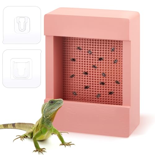 Teenyyou Chameleon Feeder Bearded Dragon Bug Bowl Wooden Bearded Dragon Feeder Insect Reptile Box with Grid Plate for Feeding Chameleon Gecko Lizard Frog Aquarium Accessories (Pink)