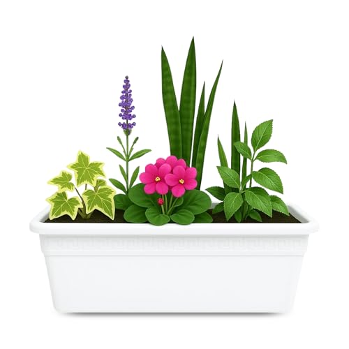 Jardinera de plástico sin plato, Balconera plástico, Macetero para Jardín, Fabricado en Polipropileno, Apto balcón, Patio, Interior/Exterior, 40 cm Largo x 15 cm Alto x 18 cm Fondo, Antracita
