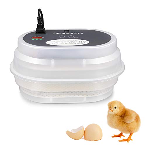 Flexzion Digital Mini Poultry 9-12 Egg Hatcher Brooder Machine for Chicken, Duck, Goose & Quail - Automatic Egg Turner, Adjustable Temperature Controller