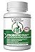 Physician Formulated Probiotics for Women & Men - 50 Billion 15 Strains Slow Release DR Capsules & Prebiotics to Improve Digestive Health, Immune Support Supplement Full Month Supply