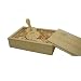 LONMAX 16GB Full Capacity USB 2.0 Bamboo Guitar USB Flash Disk Pen Drive with Gift Box (16GB)