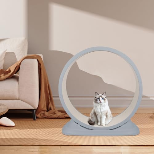 Rueda de Ejercicio para Gatos 80 cm (Gris)