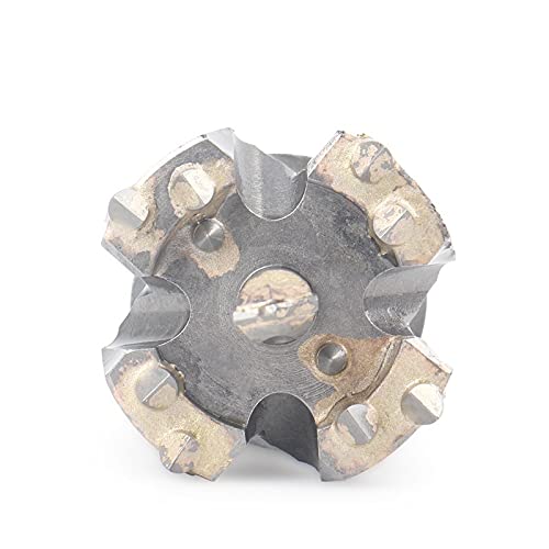 備前焼 難波誠治作 獅子 宝瓶（NS5） 備前焼白備前難波誠治作獅子宝