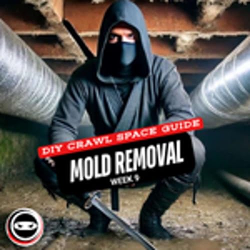 Page de couverture de DIY Crawl Space Guide: Mold Remediation Week 9