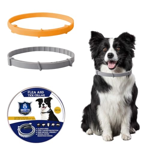 WXNPA Collar Antiparasitario Perros, 2Pzs Seguro y Eficaz Antipulgas Hecho, Collares Adesparasitante Perros Impermeables Ajustables, 8 Meses de Protección, 63cm