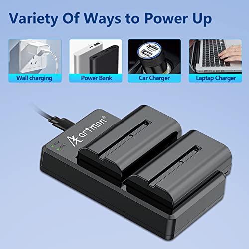 Artman Np-F550 Battery And Dual Usb Charger For Sony Np F550, F570, F530, F330, F970, F960, F750, F770, Ccd-Sc55, Tr516, Tr716, Tr818, Tr910 (2-Pack 2900Mah) #TOP4