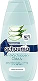 Schauma Anti-Schuppen Shampoo Classic (2 x 400 ml), Haarshampoo beruhigt die Kopfhaut und bekämpft Schuppen ab der ersten Anwendung, Pflegeshampoo mit Aloe Vera
